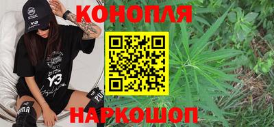 гидропоника Пенза