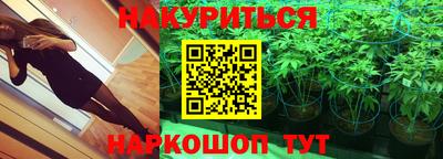 гидропоника Пенза