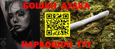 гидропоника Пенза