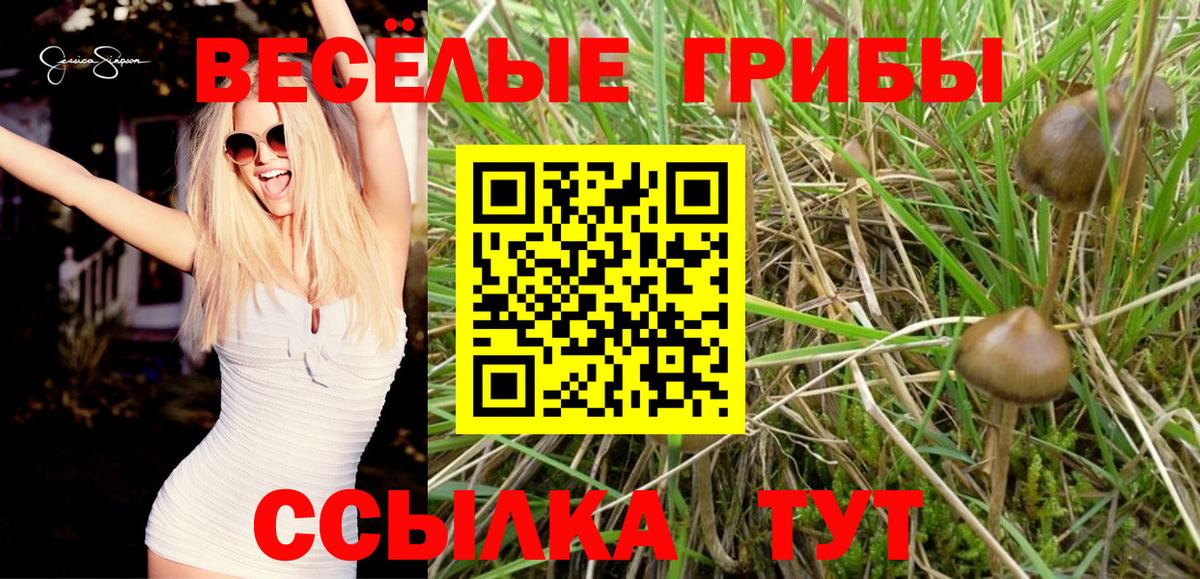 Галлюциногенные грибы GOLDEN TEACHER Рубцовск