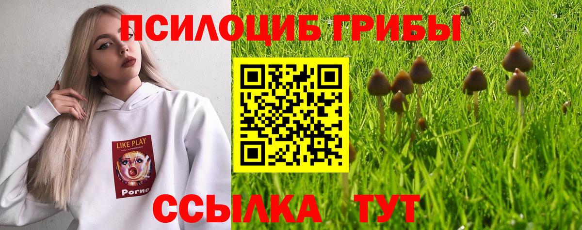 Псилоцибиновые грибы GOLDEN TEACHER  Вход с VPN  Рубцовск  Псилоцибиновые грибы мухоморы 